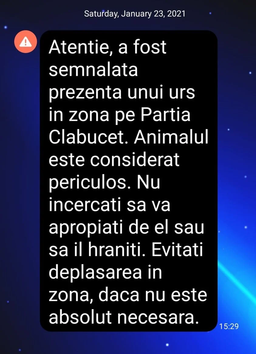 Video Brașov. Schior alergat de urs pe o pârtie din Predeal 2