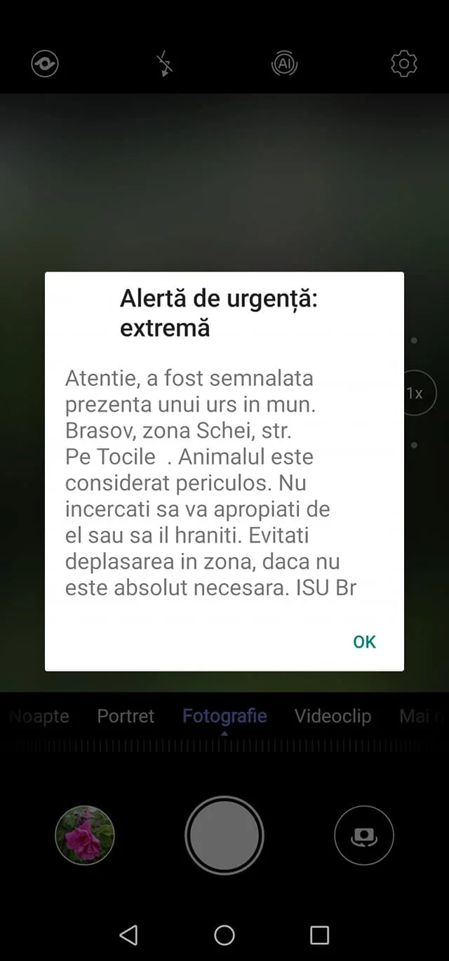 Brașov. Teroare în Șchei. „Colecție de alerte de urși pe care le-am primit în această săptămână. Dacă doriți sa faceți o plimbare pe înserat prin Schei, pregătiți-vă pentru parada cu făclii” 3