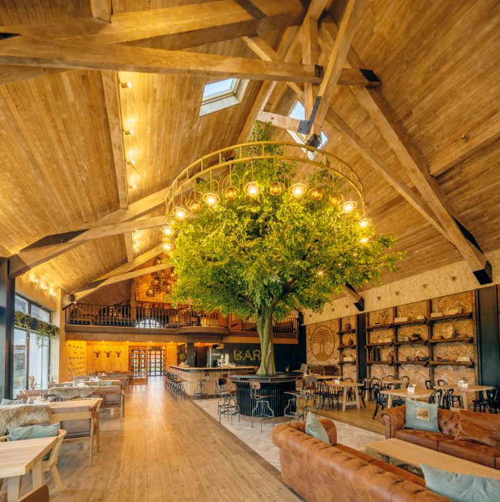 Foto Brașov. Restautantul DOR din Bran, construit în jurul unui copac, locul 3 în topul Trip Advisor la categoria Picture Perfect Restaurant 1