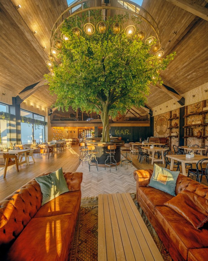 Foto Brașov. Restautantul DOR din Bran, construit în jurul unui copac, locul 3 în topul Trip Advisor la categoria Picture Perfect Restaurant 2