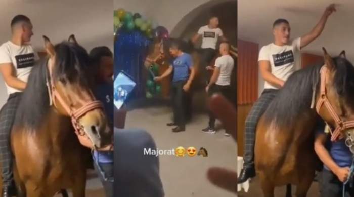 Video Brașov. Un cal a fost adus la o petrecere, într-un cămin cultural 1