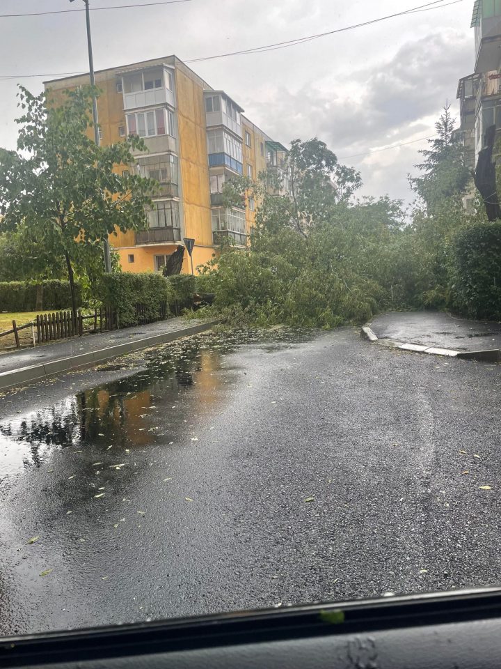 (Foto) Acoperiș de bloc smuls de vânt la Făgăraș, copaci doborâți de furtuna violentă la Sfântu Gheorghe 3