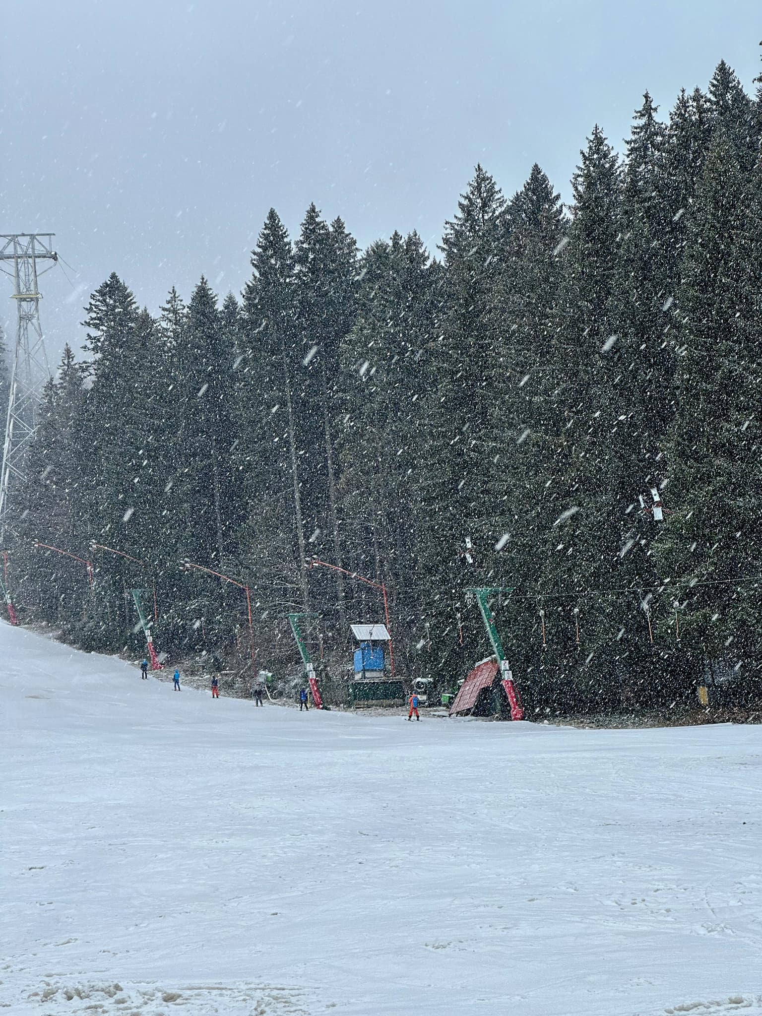 (Video) Ninge în Poiana Brașov. Starea pârtiilor 1