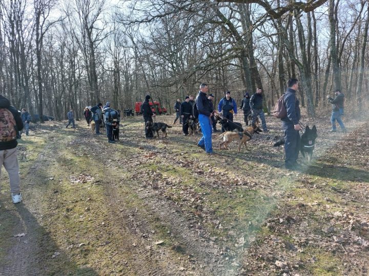 (Foto/Video) Studentă din Braşov, căutată de peste 350 de oameni în pădurea de la marginea oraşului Sibiu. Sunt folosite inclusiv drone 5
