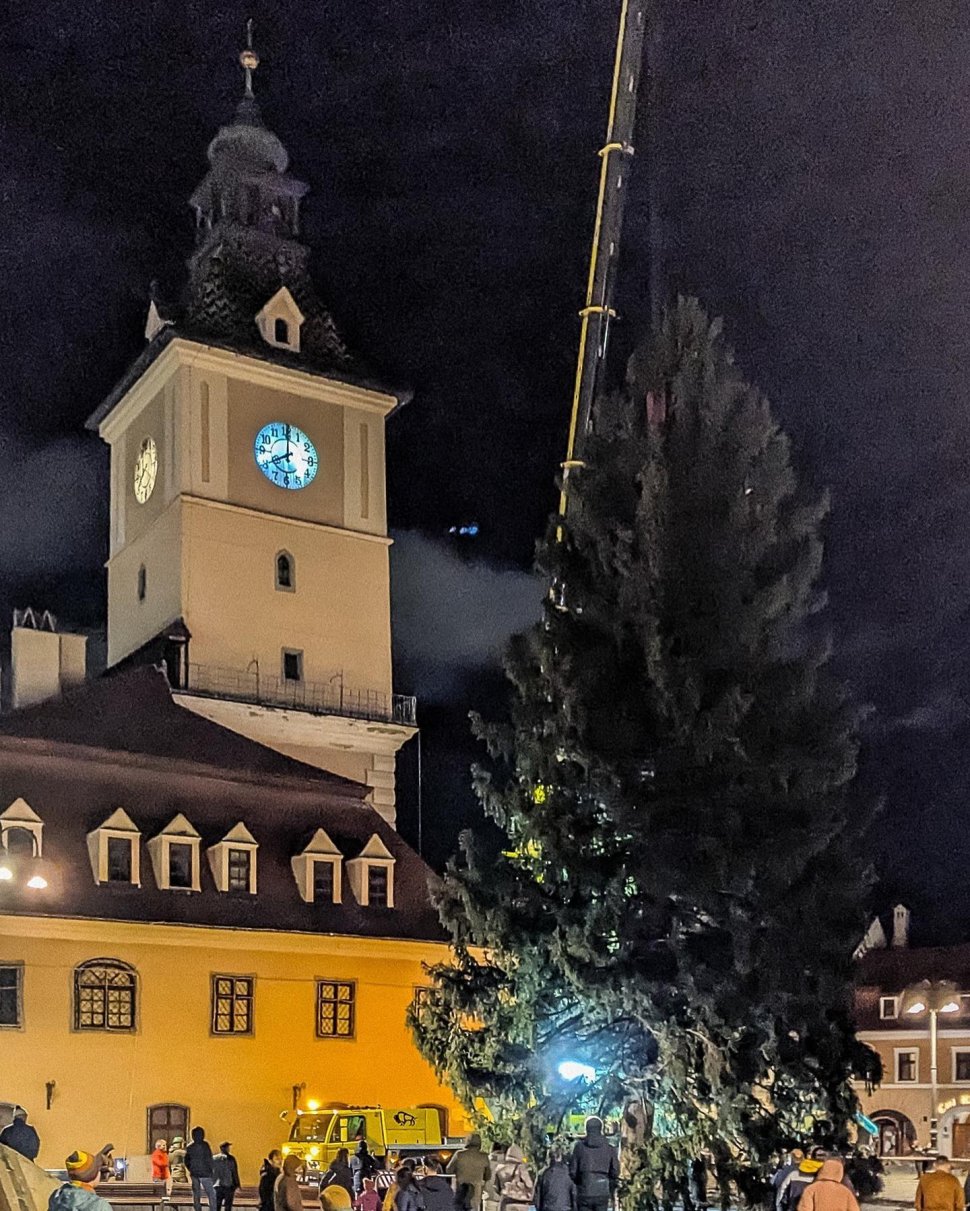 Video Brașov. Bradul de Crăciun, adus cu o adevărată desfăşurare de forţe în Piaţa Sfatului. "Are 23,5 de metri înălţime" 1