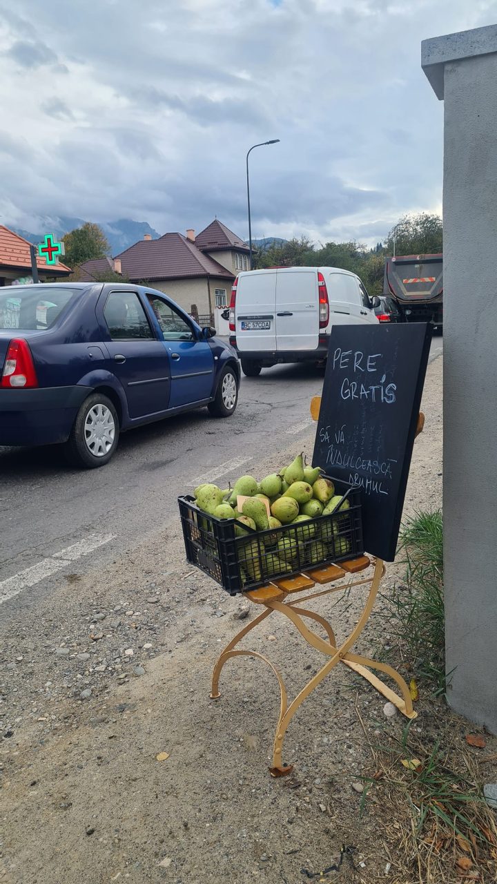 Brașov. Pere gratis pentru șoferii de pe DN73, blocați în trafic. Laura: „Ca să le îndulcesc drumeților șederea, am scos o lădiță cu pere, din care i-am invitat să se servească gratis” 1