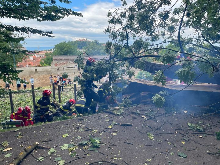Brașov. Tânăr strivit sub Tâmpa. Ancheta scoate la iveală: 250 de copaci ar putea fi tăiați 1