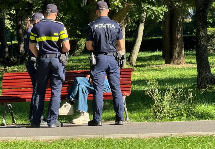 (Video) Brașov. Un pisoi nevinovat, victima cruzimii unui individ de 28 de ani din Râșnov. Bărbatul a fost arestat 30 de zile după ce animăluțul a murit 1