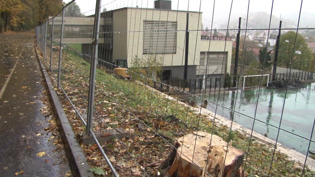 Brașov. De ce au fost tăiați castanii de sub Tâmpa. Frumusețea locului, sacrificată pentru un șantier. Vor mai fi tăiați și alți copaci din zonă? 1 Brașov. De ce au fost tăiați castanii de sub Tâmpa. Frumusețea locului, sacrificată pentru un șantier. Vor mai fi tăiați și alți copaci din zonă? 1