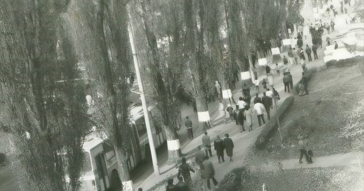 Brașov. 38 de ani. „Am încremenit când am văzut o mare de oameni, îmbrăcați în haine de lucru, veneau dinspre uzina Steagul Roșu/Nu puteam sa vorbesc, sa explic ce vad, nu văzusem în viața mea atâția oameni la un loc/ erau atât de mulți că încă unii erau pe Calea București și alții în Centrul Civic” 2 Brașov. 38 de ani. „Am încremenit când am văzut o mare de oameni, îmbrăcați în haine de lucru, veneau dinspre uzina Steagul Roșu/Nu puteam sa vorbesc, sa explic ce vad, nu văzusem în viața mea atâția oameni la un loc/ erau atât de mulți că încă unii erau pe Calea București și alții în Centrul Civic” 2