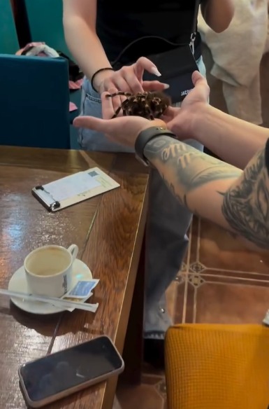 (Video) S-a deschis Zoo Cafe Brașov, singura cafenea din Transilvania în care îți bei cafeaua la un pas de animale exotice 4 (Video) S-a deschis Zoo Cafe Brașov, singura cafenea din Transilvania în care îți bei cafeaua la un pas de animale exotice 4