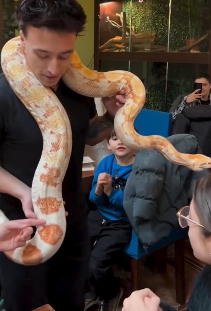 (Video) S-a deschis Zoo Cafe Brașov, singura cafenea din Transilvania în care îți bei cafeaua la un pas de animale exotice 1 (Video) S-a deschis Zoo Cafe Brașov, singura cafenea din Transilvania în care îți bei cafeaua la un pas de animale exotice 1