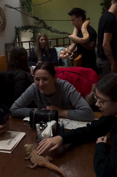 (Video) S-a deschis Zoo Cafe Brașov, singura cafenea din Transilvania în care îți bei cafeaua la un pas de animale exotice 3 (Video) S-a deschis Zoo Cafe Brașov, singura cafenea din Transilvania în care îți bei cafeaua la un pas de animale exotice 3