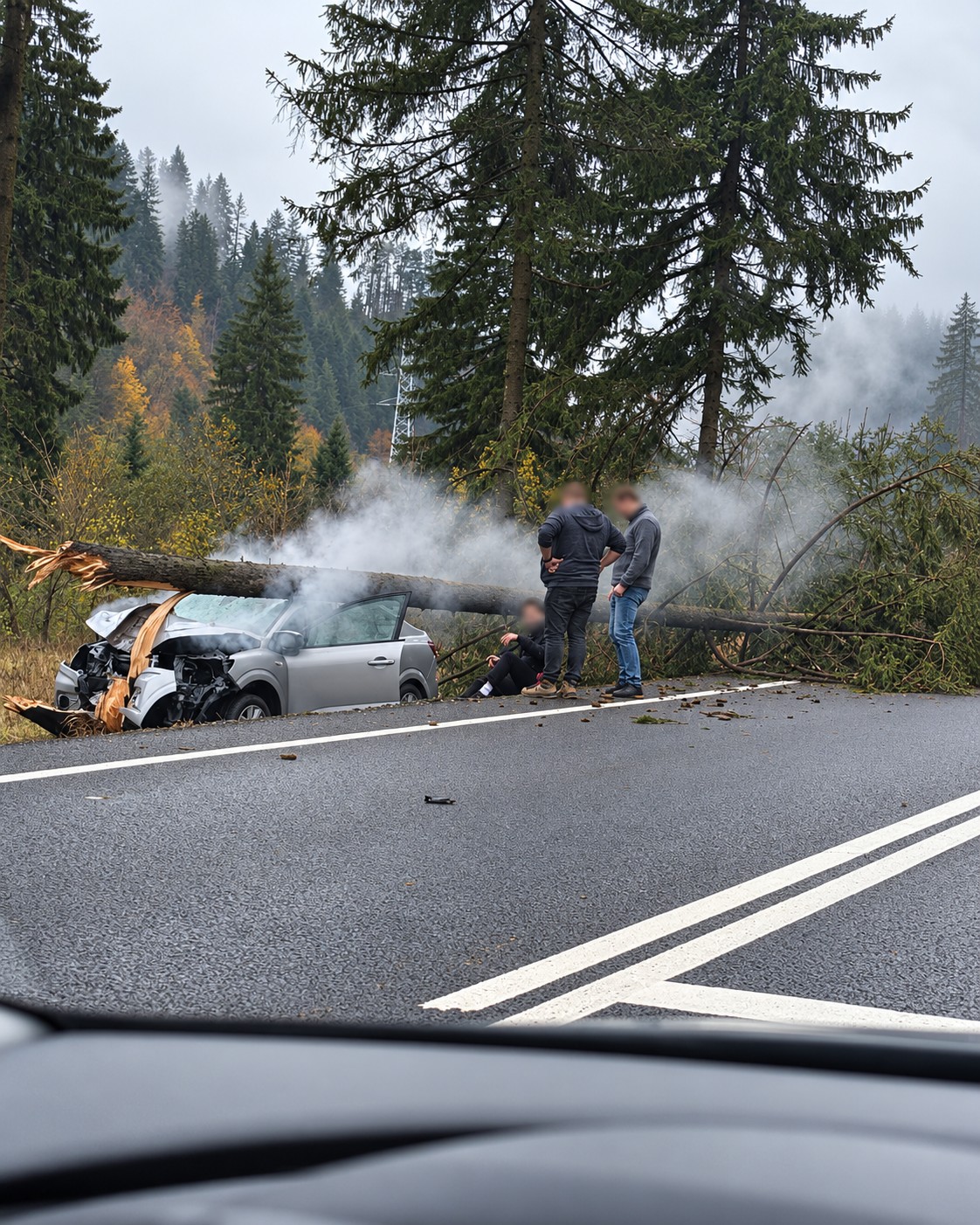 Brașov. Un autoturism a ieșit de pe DN1 și a rupt un copac. Accident între Timișul de Sus și Timișul de Jos 1 Brașov. Un autoturism a ieșit de pe DN1 și a rupt un copac. Accident între Timișul de Sus și Timișul de Jos 1
