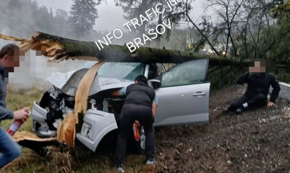 Brașov. Un autoturism a ieșit de pe DN1 și a rupt un copac. Accident între Timișul de Sus și Timișul de Jos 2 Brașov. Un autoturism a ieșit de pe DN1 și a rupt un copac. Accident între Timișul de Sus și Timișul de Jos 2